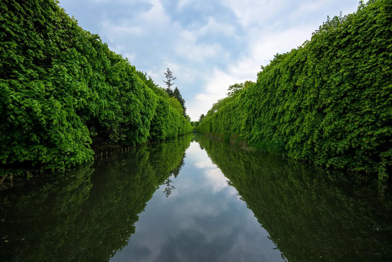 A narrow canal stretches into the distance, lined on both sides by tall, lush green hedges, with the sky and hedges reflected in the calm water.